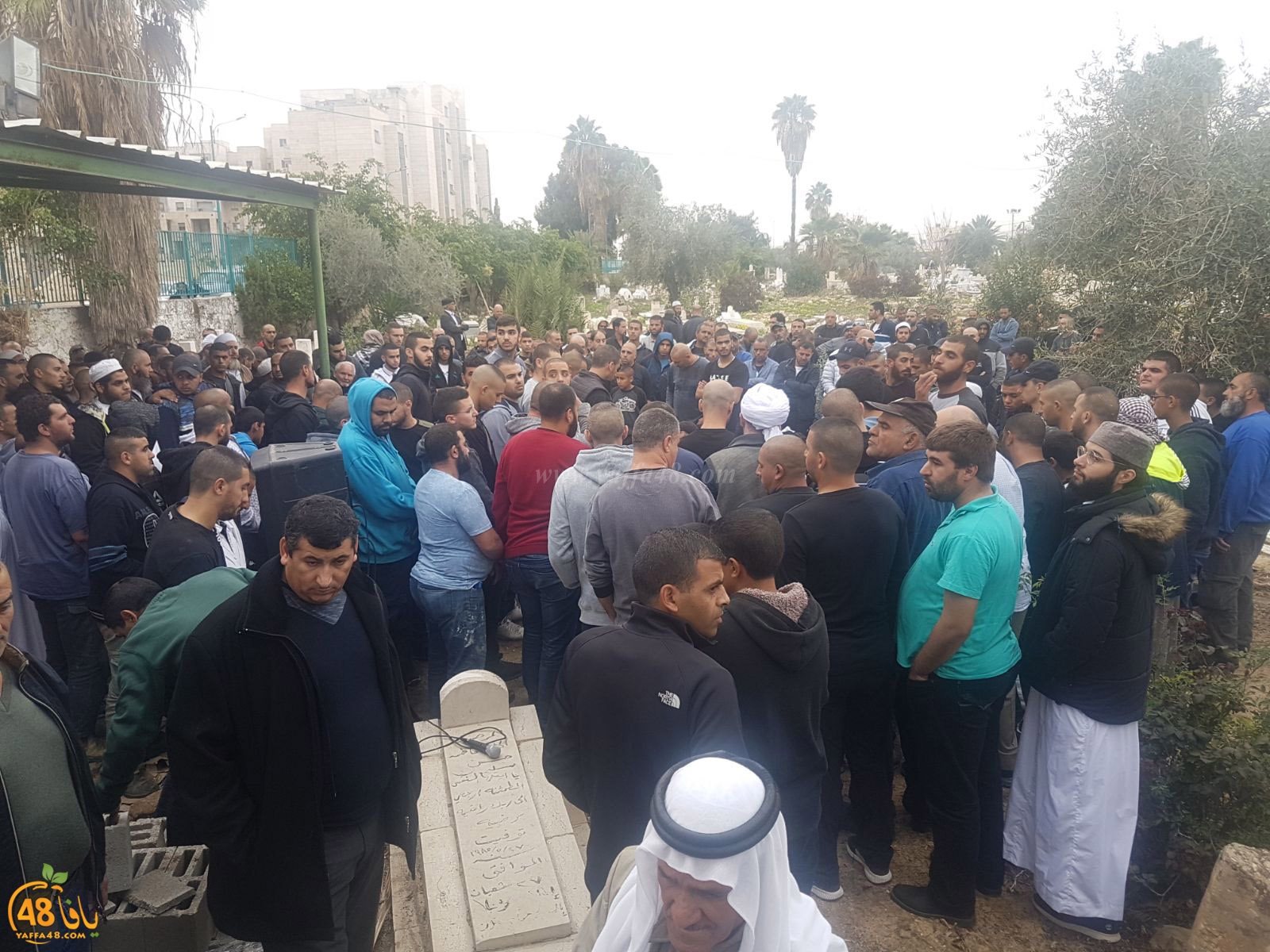 tasheeye3 om mhmoud (10).jpg